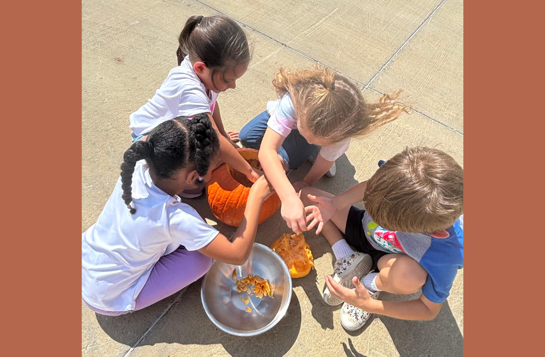  Students working on a pumpkin volcano